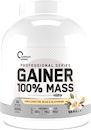 Гейнер для набора массы Optimum System Gainer 100 Mass 3000 г